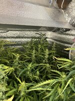 3 — копия.jpg