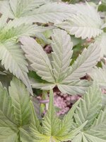 20260323_081256251.jpg 20260323_081256251.jpg