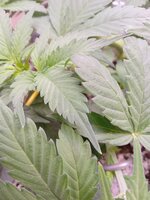 20260323_081315710.jpg 20260323_081315710.jpg