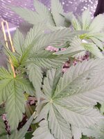 20260323_081334775.jpg 20260323_081334775.jpg