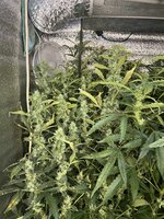 1 — копия.jpg