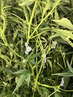 5 — копия.jpg