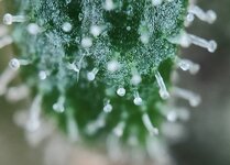 Day 144 23.03 (2).jpg Day 144 23.03 (2).jpg