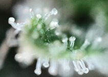 Day 144 23.03 (3).jpg Day 144 23.03 (3).jpg