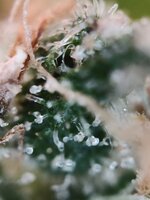 Day 144 23.03 (4).jpg Day 144 23.03 (4).jpg