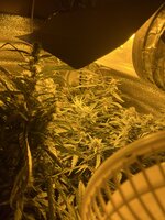 3 — копия.jpg