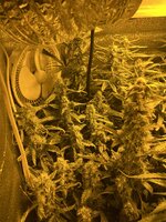 4 — копия.jpg