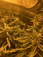 5 — копия.jpg