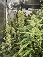 1 — копия.jpg