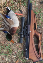 crop_942166114069265665.png crop_942166114069265665.png