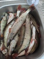 crop_3280476298209423384.jpg crop_3280476298209423384.jpg