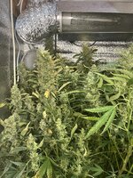 6 — копия.jpg