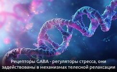 gaba-dlya-bespokojnogo-uma__dMJa80rRLD4K5JS0.jpg gaba-dlya-bespokojnogo-uma__dMJa80rRLD4K5JS0.jpg