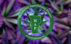 Mendocino-Appellations-Project__NB63dzvaiFTGSe3D.jpg