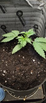 В Добрый Путь Товарищи 🌱!!!
