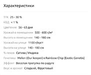 62271.jpg