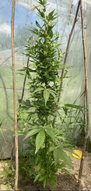 13.06.22 6.jpeg 13.06.22 6.jpeg