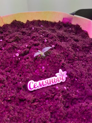 20220614_112435.jpg 20220614_112435.jpg