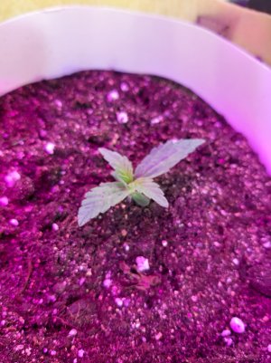 20220614_123640.jpg 20220614_123640.jpg