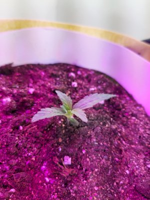 20220614_123707.jpg 20220614_123707.jpg