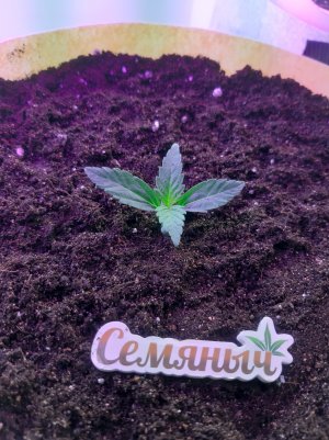 20220614_123746.jpg 20220614_123746.jpg