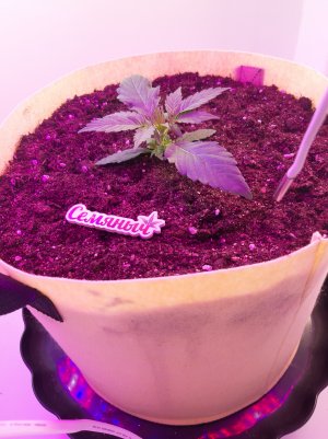 20220614_125415.jpg 20220614_125415.jpg