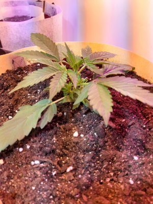 20220614_135622.jpg 20220614_135622.jpg