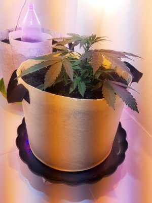 20220614_140923.jpg 20220614_140923.jpg