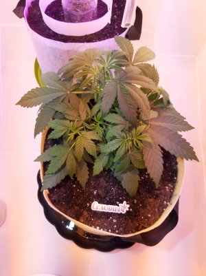 20220614_213351.jpg 20220614_213351.jpg