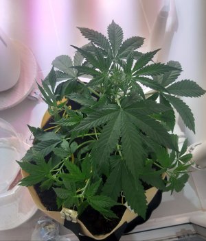 20220614_223527.jpg 20220614_223527.jpg