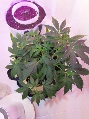 20220615_000045.jpg 20220615_000045.jpg