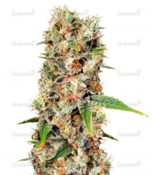 1655295511850.png 1655295511850.png