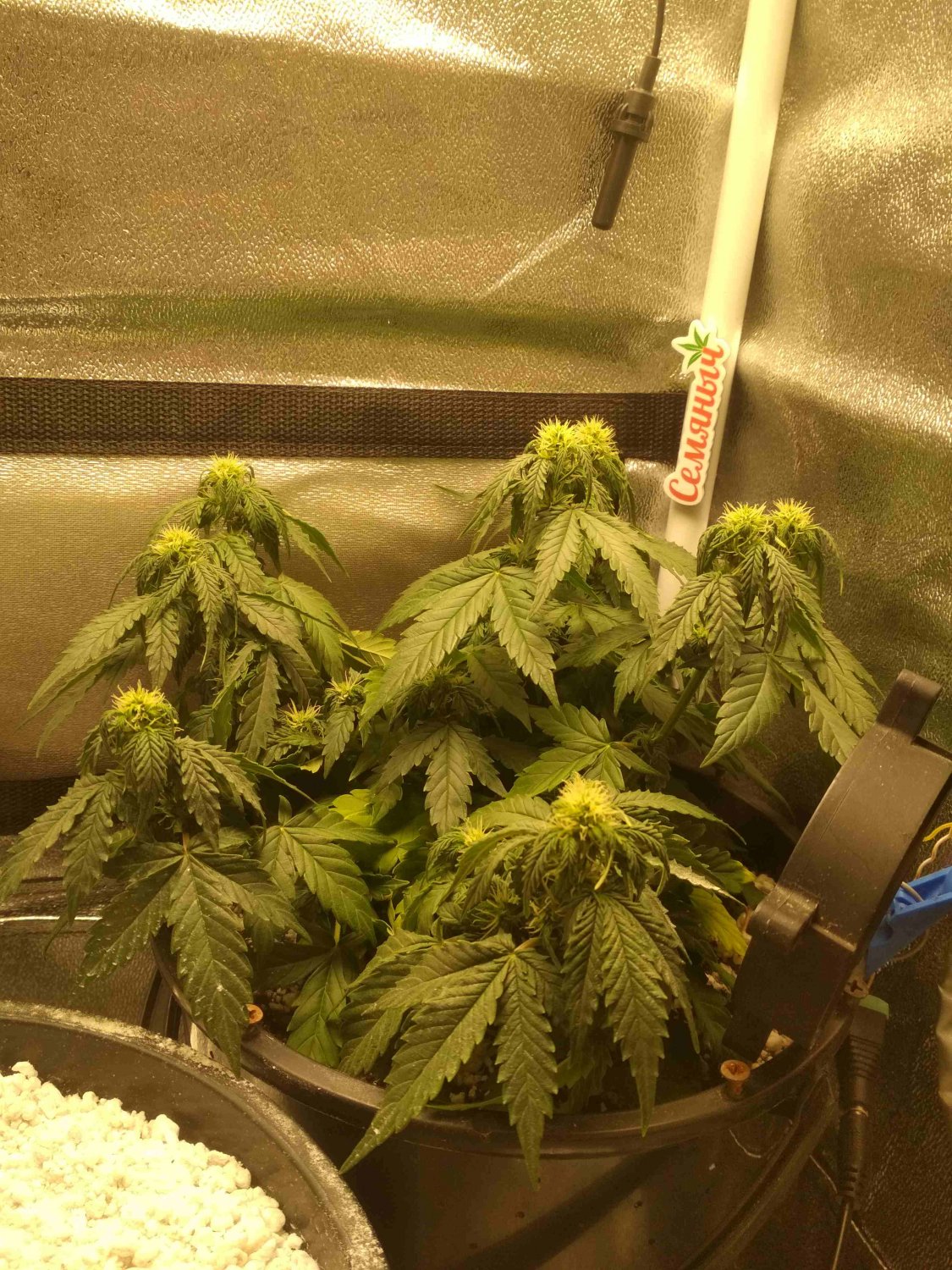 IMG_20220615_172302.jpg IMG_20220615_172302.jpg