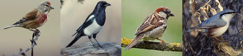 1655385070604.png 1655385070604.png