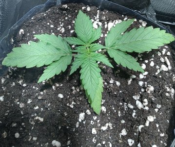 IMG_20220618_161740~2.jpg IMG_20220618_161740~2.jpg