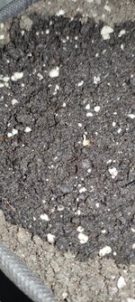 IMG_20260625_011234.jpg