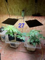 IMG_4736.jpeg