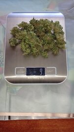 1000131202.jpg