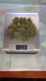 1000131204.jpg