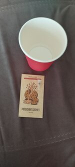 IMG_20260708_160229.jpg
