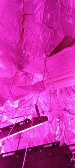 IMG_20260712_091504.jpg