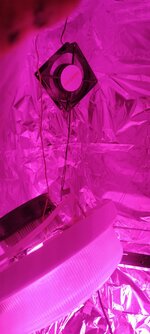 IMG_20260712_091458.jpg