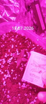 IMG_20260715_104426.jpg