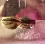 IMG_1828.jpeg