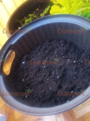 39-wm-82968.10000000187_watermarked.jpg 39-wm-82968.10000000187_watermarked.jpg