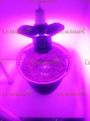 42-wm-83940.90000000142_watermarked.jpg 42-wm-83940.90000000142_watermarked.jpg