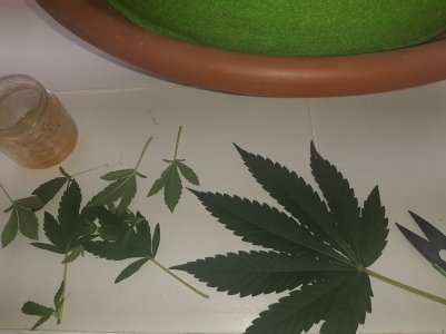 20220621_120013.jpg 20220621_120013.jpg