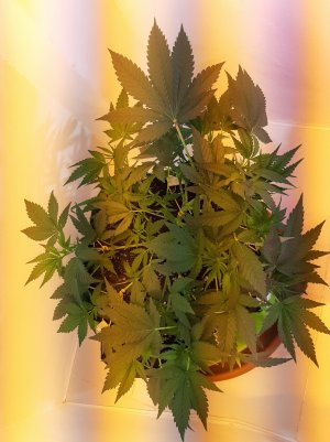 20220621_124807.jpg 20220621_124807.jpg