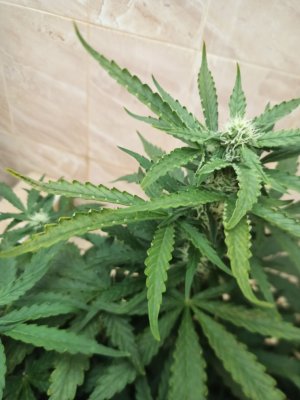 photo_2022-06-21_11-52-40.jpg photo_2022-06-21_11-52-40.jpg