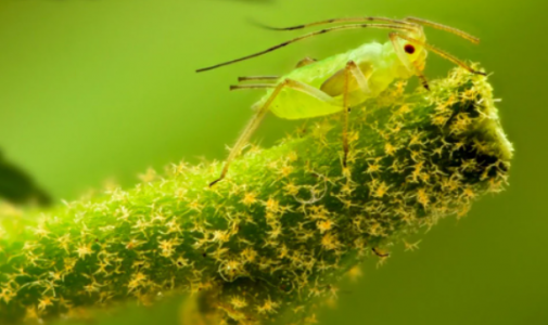 1656102055407.png 1656102055407.png